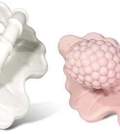 RaZbaby RaZberry - Bijtspeentje - Roze - Wit - 2 Stuks