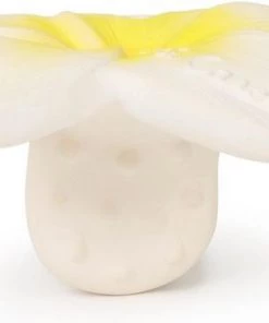 Oli & Carol Bijtspeeltje Chewy To Go - Hawaii Bloem