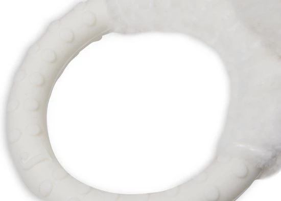 Jollein Rammelaar - Lamb 1 Jollein Rammelaar - Lamb