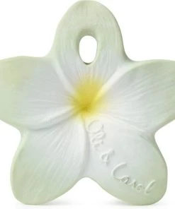 Oli & Carol Oli&Carol Bijtspeeltje Chewy To Go - Bali Bloem