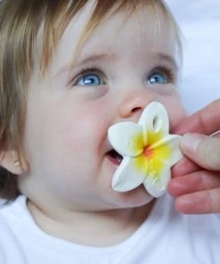 Oli & Carol Bijtspeeltje Chewy To Go - Hawaii Bloem -grijp-bijtspeelgoed Verkoop 550x550 160