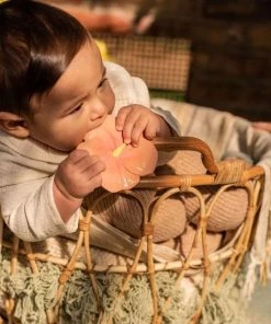 Oli & Carol Oli&Carol Bijtspeeltje Iris Hibiscus 11 Oli & Carol Oli&Carol Bijtspeeltje Iris Hibiscus -grijp-bijtspeelgoed Verkoop 550x550 168