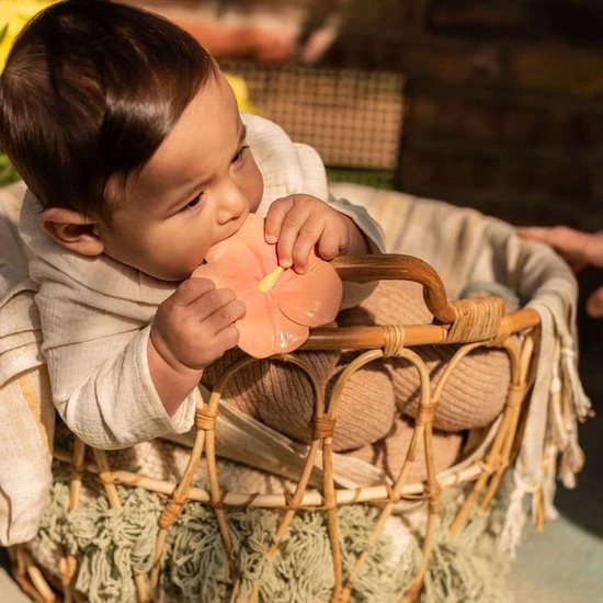 Oli & Carol Oli&Carol Bijtspeeltje Iris Hibiscus 4 Oli & Carol Oli&Carol Bijtspeeltje Iris Hibiscus - Afbeelding 4