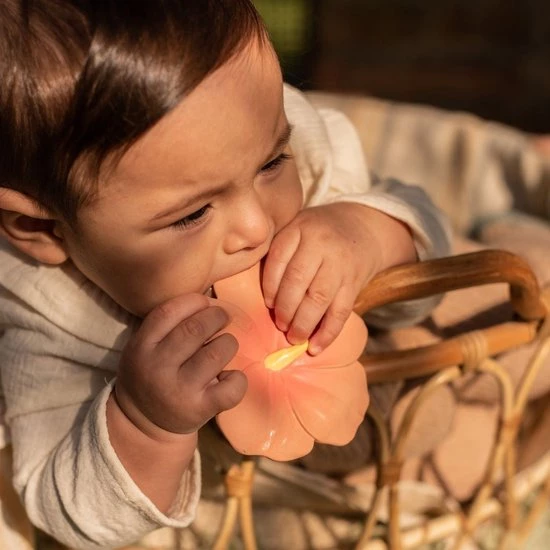 Oli & Carol Oli&Carol Bijtspeeltje Iris Hibiscus 5 Oli & Carol Oli&Carol Bijtspeeltje Iris Hibiscus - Afbeelding 5