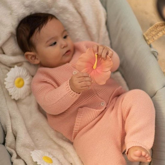 Oli & Carol Oli&Carol Bijtspeeltje Iris Hibiscus 6 Oli & Carol Oli&Carol Bijtspeeltje Iris Hibiscus - Afbeelding 6