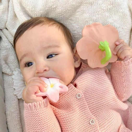 Oli & Carol Oli&Carol Bijtspeeltje Iris Hibiscus 8 Oli & Carol Oli&Carol Bijtspeeltje Iris Hibiscus - Afbeelding 8