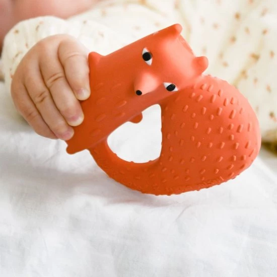 Oli & Carol Oli&Carol Bad-bijtspeeltje Cyril Vos 3 Oli & Carol Oli&Carol Bad-bijtspeeltje Cyril Vos - Afbeelding 3