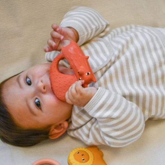 Oli & Carol Oli&Carol Bad-bijtspeeltje Cyril Vos 4 Oli & Carol Oli&Carol Bad-bijtspeeltje Cyril Vos - Afbeelding 4