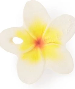 Oli & Carol Bijtspeeltje Chewy To Go - Hawaii Bloem -grijp-bijtspeelgoed Verkoop 550x626 2