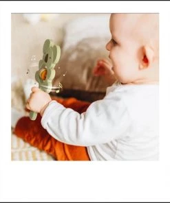 Fabs World Siliconen Rammelaar & Bijtring Koala Groen 9 Fabs World Siliconen Rammelaar & Bijtring Koala Groen -grijp-bijtspeelgoed Verkoop 550x651 9