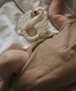 Natruba Bijtring Zwaan -grijp-bijtspeelgoed Verkoop 550x732 3